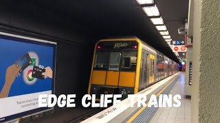 Trains at Edge Cliff [upl. by Garry]