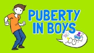 All About Boys Puberty [upl. by Bidget975]