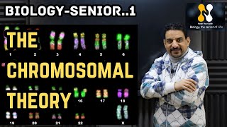 Senior 1  Biology  Lesson 1  The Chromosomal Theory  شرح بيولوجي  أولى ثانوي  لغات  ترم ثان [upl. by Namlaz]