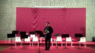 Mahler 3 Symphonyposthorn solo part II [upl. by Eniamahs]