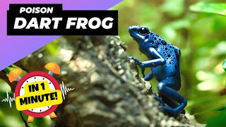 Blue Poison Dart Frog 🐸 Tiny But Lethal  1 Minute Animals [upl. by Ydasahc]