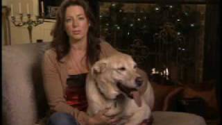 Sarah McLachlan quotSilent Nightquot SPCA Commercial [upl. by Oneg356]