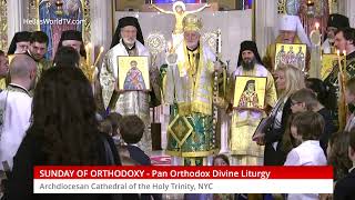 Archdiocesan Cathedral of the Holy Trinity Live Stream [upl. by Schmitz]