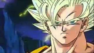 DBZ AMVGoku Warrior Disturbed [upl. by Eitsud]