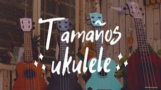 Tamaños y Diferencias de Ukuleles [upl. by Sualocin552]