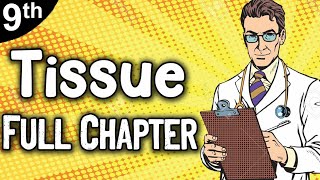 Tissue Full Chapter  Class 9 Tissue  Class 9 chapter 6 Tissues [upl. by Thalassa]