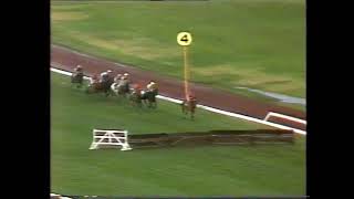 1981 VRC Grand National Hurdle [upl. by Larual330]