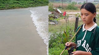 Orphan girl went fishing and encountered a heavy rain  Hoang Duyen [upl. by Neraj]