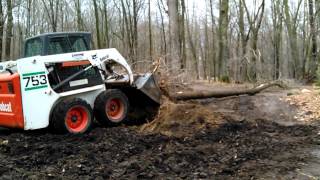 BOBCAT 753 WORKING THE BRUSH [upl. by Ib]