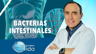 BACTERIAS INTESTINALES  HACIA UN NUEVO ESTILO DE VIDA [upl. by Kessia684]