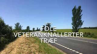 Fole veteranknallerter Træf 2019 [upl. by Ellennoj]