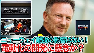 【 F1 2024 】レッドブルのF1エンジン、フォードは当初の想定以上に貢献しているとラッシュブルック、開発遅延の噂には競合他社のことは分からない！【 F1 】【 F1 動画 】 [upl. by Nelleus32]