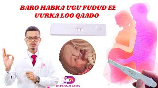 HABKA UGU FUDUD EE UURKA LOO QAADO IYO WAX YAABAHA KAA CAAWIN KARO UURKA Dr faris [upl. by Ias]