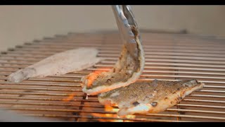 Grilled Branzino Fillet [upl. by Eerdua764]