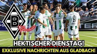 💥Hektischer Tag in Gladbach Die neuesten Nachrichten Neuigkeiten von BORUSSIA MGLADBACH Heute⚫⚪🟢 [upl. by Ellennaj918]