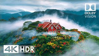 Most Special 4K HDR 60 FPS Dolby Vision 4K Video [upl. by Jemima]