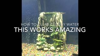 How to Fix Cloudy Aquarium Water [upl. by Roper610]