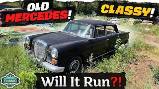 WILL IT RUN Abandoned Vintage Mercedes [upl. by Toland]