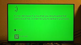 Never Try To Install Linux On Windows Scary Windows 11 kill screen [upl. by Valentina264]