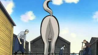 Fullmetal Alchemist Best of Black Hayate dog [upl. by Spracklen]