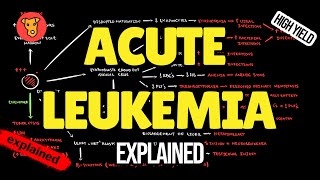 ACUTE LYMPHOCYTIC LEUKEMIA Pathogenesis Mechanism of clinical symptoms Pathology [upl. by Letha]