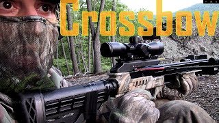 Crossbow Hunting Whitetail Deer New York [upl. by Pomcroy963]