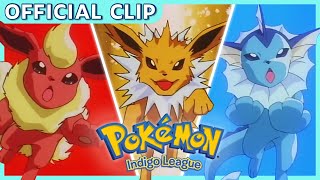 An Evolution Party  Pokémon Indigo League  Official Clip [upl. by Reteid]