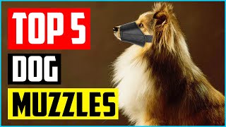 5 Best Dog Muzzles that allow Drinking  Which one is the Best [upl. by Acimaj]