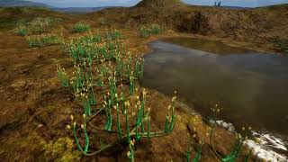 First land plants Early Devonian [upl. by Ahtnahc]