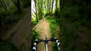 My favorite descent at Zoetermeer🤘🏻 mtb bike viral downhill pov cycling shorts [upl. by Tybi]