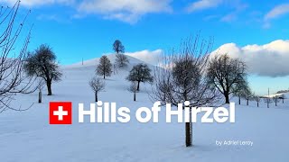 Winter Wonderland In Switzerland  The Hills Of Hirzel Close To Zurich [upl. by Jock]