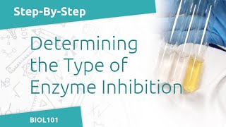 Effect of an Inhibitor on the Activity of Catechol Oxidase BIOL101  Enzymatic Reactions Lab [upl. by Todhunter]