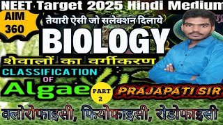 शैवाल  Algae लाल शैवाल भूरा शैवाल हरे शैवाल पौधो का वर्गीकरण  Neet Biology [upl. by Hendrika]