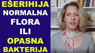 EŠERIHIJA KOLI Ecoli normalna flora ili OPASNA BAKTERIJA  dr Bojana Mandić [upl. by Leal]