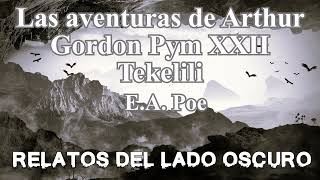 Las aventuras de Arthur Gordon Pym XXII Edgar A Poe Relato literario  Relatos del lado oscuro [upl. by Jehius359]