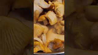 Cooking Chanterelle mushroom Subscribe for more [upl. by Ahsinhoj]