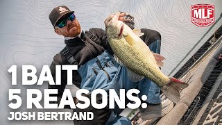 1 BAIT5 REASONS Why a plopperstyle bait is Bertrand’s top choice for summer topwater [upl. by Nilyak]