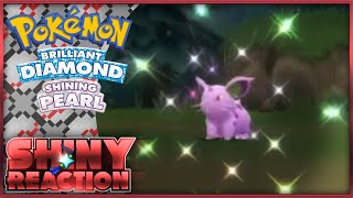 FULL ODDS SHINY ✨NIDORAN✨ during Radar  Pokémon Brilliant Diamond and Shining Pearl [upl. by Lamar]