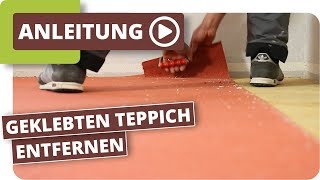 geklebten Teppich entfernen  Teppichkleber ohne schleifen mit Abbeizer entfernen [upl. by Kendell]