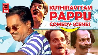 പപ്പുച്ചേട്ടന്റെ മനോഹരമായ കോമഡി സീൻസ്  Kuthiravattam Pappu Comedy Scenes  Malayalam Comedy Scenes [upl. by Oirram624]