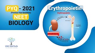 NEET 2021 ll Erythropoietin hormone which stimulates RBC formation is produced by ll [upl. by Naiditch]