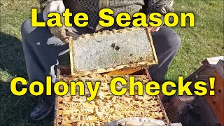 Late Season Colony ChecksThat Bee Man [upl. by Snell599]