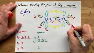 Draw the Orbital Overlap Diagram of O2 Oxygen gas [upl. by Katzir]