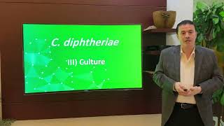 12 26 Corynebacterium diphtheriae Morphology and Culture [upl. by Eelime380]