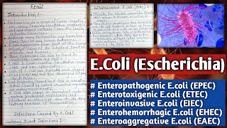 E coli  Escherichia coli  Infection caused by E Coli  Infective strans of E coli [upl. by Viviene]