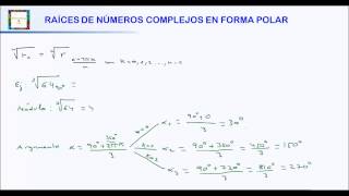 RAÍCES DE NÚMEROS COMPLEJOS EN FORMA POLAR HD [upl. by Ettebab936]