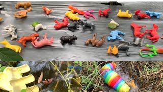 farm animals  rainbowcolored animals [upl. by Jordan]