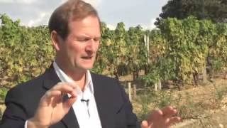 WineSenseTVcom Chateau dYquem in Sauternes France with Pierre Lurton [upl. by Walt]