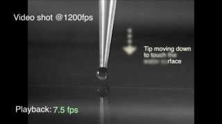 High speed video of drop coalescence pipette [upl. by Aiciled]