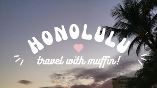 Aloha Honolulu  Travel with Muffin ENG SUB [upl. by Arval406]